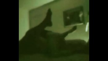 Point of view porn