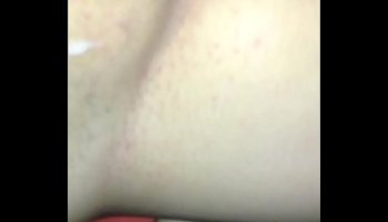 Emily willis bbc