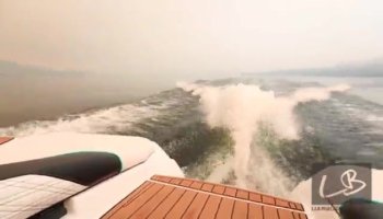 Cute Asian chick is playing with a pink toy video