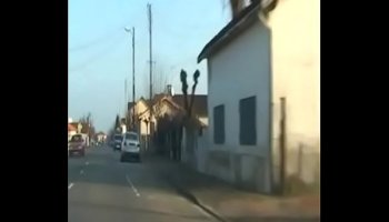 Amateur interracial porn clips