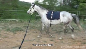 Free porn film sites