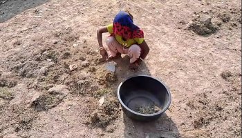 Indian xxx sex free movie